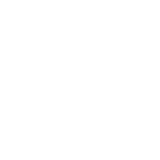 Cabin icon for the spacious and cozy cabin